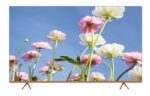 Gratus WebOS powered 4K Edgeless UHD 70" LED SMART TV with ThinQ AI, Quad Core Processor, Dolby Audio, Model- LT70W4K23H