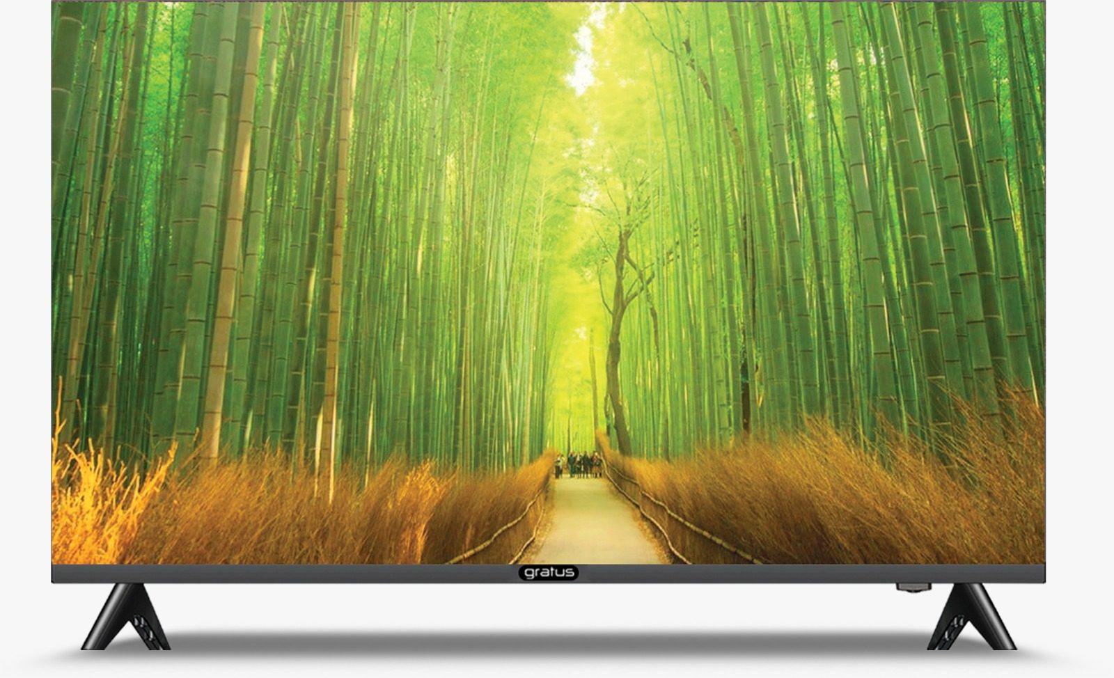 Gratus VIDAA powered 4K Edgeless UHD 65"LED SMART TV, Quad Core Processor, Dolby Audio, Model- GTV65A7V605